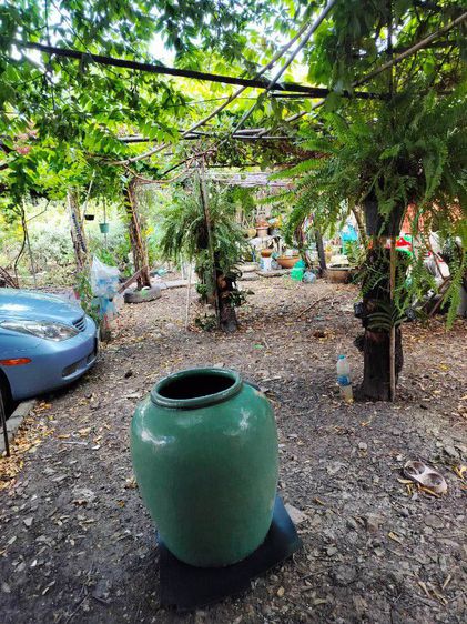 ขายโอ่งโบราณเขียวไข่กาสมบัติประจำตระกูล เพียง 15,900 บาทครับ รูปที่ 18