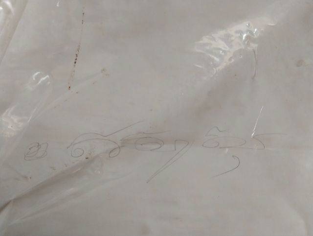 รูปถ่ายหลวงปู่ดู่ยืนวัดสะแกหลังจารมือขนาด8นิ้วสูง12นิ้ว รูปที่ 9