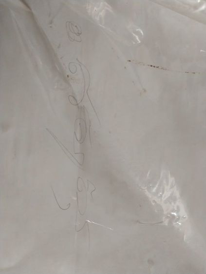 รูปถ่ายหลวงปู่ดู่ยืนวัดสะแกหลังจารมือขนาด8นิ้วสูง12นิ้ว รูปที่ 8