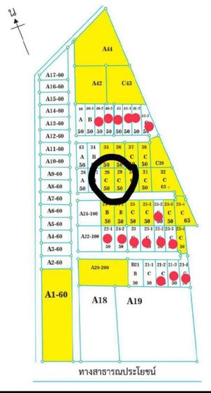 ที่ดินแบ่งขายหรือเช่าแปลงละ 50 ตรว,มี2 แปลง หัวหิน-ชะอำ