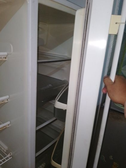 Electrolux ตู้เย็น 2 ประตู ตู้เย็น