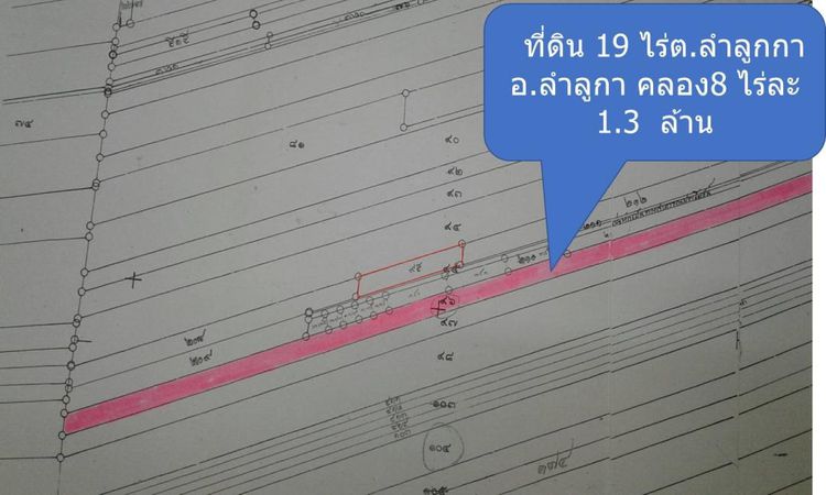ขายที่ดิน 19 ไร่ คลอง 8 ลำลูกกา รูปที่ 4