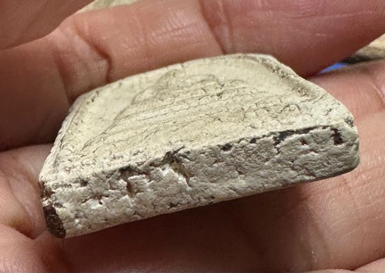 🙏พระผง ล.พ.เงิน บางคลาน🙏พระกริ่งคลองตะเคียน วัดประดู่ในทรงธรรม🙏พระสมเด็จพิมพ์ใหญ่ องค์ละ1250 รูปที่ 17