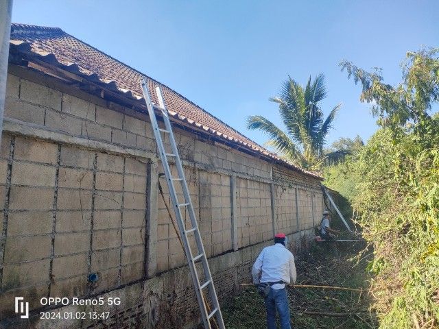 รับตัดหญ้า ตัดกิ่งไม้ ต้นไม้ รูปที่ 6