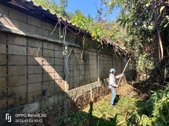 รับตัดหญ้า ตัดกิ่งไม้ ต้นไม้ รูปที่ 3