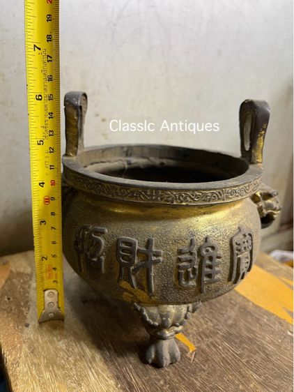 กระถาง มังกรทองเหลืองA8 รูปที่ 12