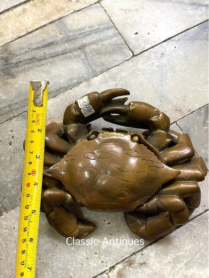 ปู ทองเหลืองสะสมA5 รูปที่ 7