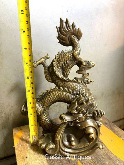 มังกรทองเหลือง รูปที่ 6