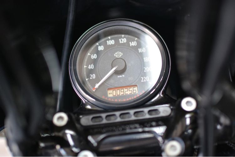 Harley-Davidson Forty-Eight1200® ปี19 Club Style รูปที่ 10