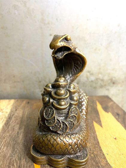 งู ทองเหลือง สะสม รูปที่ 5