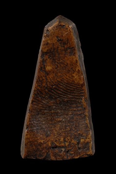 พระผงสุพรรณ รูปที่ 2