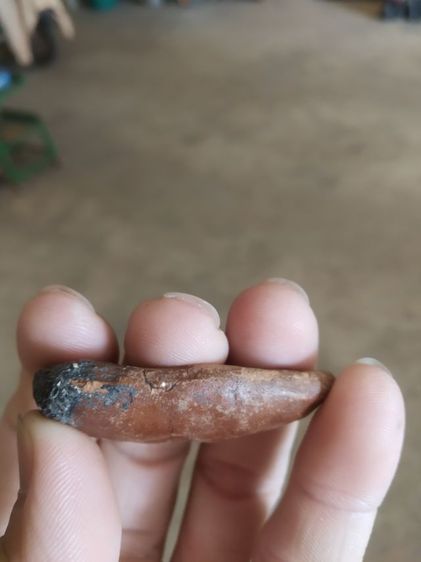 พระเนื้อดินผสมผงพิมพ์ใหญ่รูปทรงไข่(พระพิมพ์พระขุนแผนเนื้อดินรูปไข่ผ่าซีก(ไม่ทราบพระเกจิที่สร้าง)(180202))พระบ้านพระเครื่องรางของมงคล รูปที่ 13