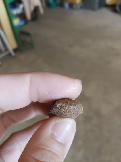 พระเนื้อดินผสมผง(พระปางนาคปรกไม่ทราบเกจิ(ไม่สวย230205))พระบ้านพระเครื่องรางของมงคล รูปที่ 16