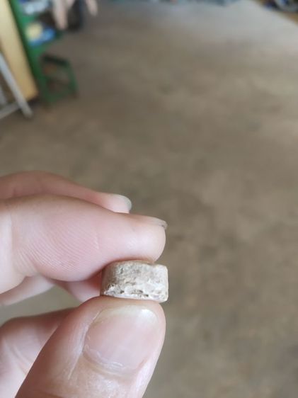 พระผงผสมว่าน(พระสีวลีหลังเรียบไม่ทราบเกจิ(สภาพไม่สวย)(250225))พระบ้านพระเครื่องรางของมงคล รูปที่ 14