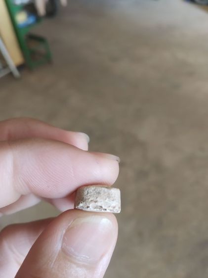 พระผงผสมว่าน(พระสีวลีหลังเรียบไม่ทราบเกจิ(สภาพไม่สวย)(250225))พระบ้านพระเครื่องรางของมงคล รูปที่ 16