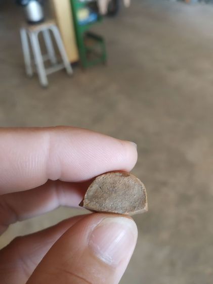 พระเนื้อดินพิมพ์กลาง(พระลือหน้ายักษ์หลังเรียบ(ไม่ทราบพระเกจิที่สร้าง)(ไม่ทราบที่มา))พระบ้านพระเครื่องรางของมงคล รูปที่ 15