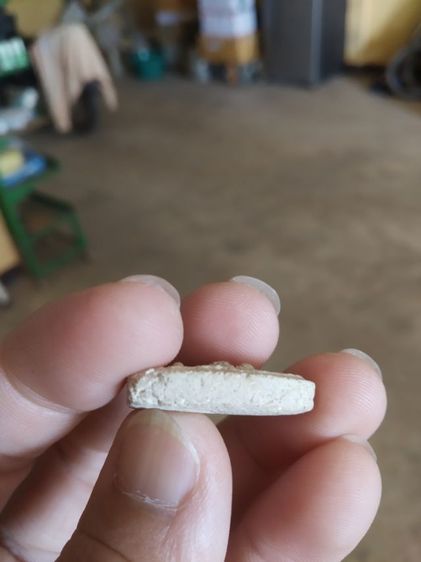 พระผงผสมว่านพิมพ์เล็ก(พระปรางค์นาคปรกหลังเรียบ(เนื้อออกสีขาว)ไม่ทราบเกจิที่สร้าง(230238))พระบ้านพระเครื่องรางของมงคล รูปที่ 16