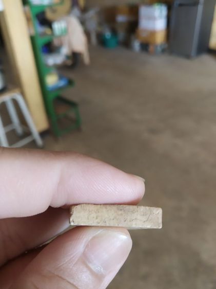 พระเนื้อผงผสมว่าน(พระพิมพ์พระพุทธรูปทองคำวัดไตรมิตรวิทยารามวรวิหาร(กรุงเทพมหานคร))พระบ้านพระเครื่องรางของมงคล(ปี2537) รูปที่ 14