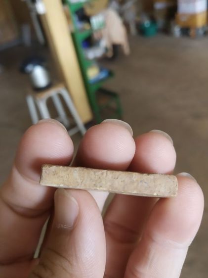 พระเนื้อผงผสมว่าน(พระพิมพ์พระพุทธรูปทองคำวัดไตรมิตรวิทยารามวรวิหาร(กรุงเทพมหานคร))พระบ้านพระเครื่องรางของมงคล(ปี2537) รูปที่ 13