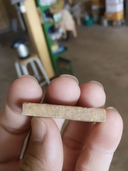 พระเนื้อผงผสมว่าน(พระพิมพ์พระพุทธรูปทองคำวัดไตรมิตรวิทยารามวรวิหาร(กรุงเทพมหานคร))พระบ้านพระเครื่องรางของมงคล(ปี2537) รูปที่ 10