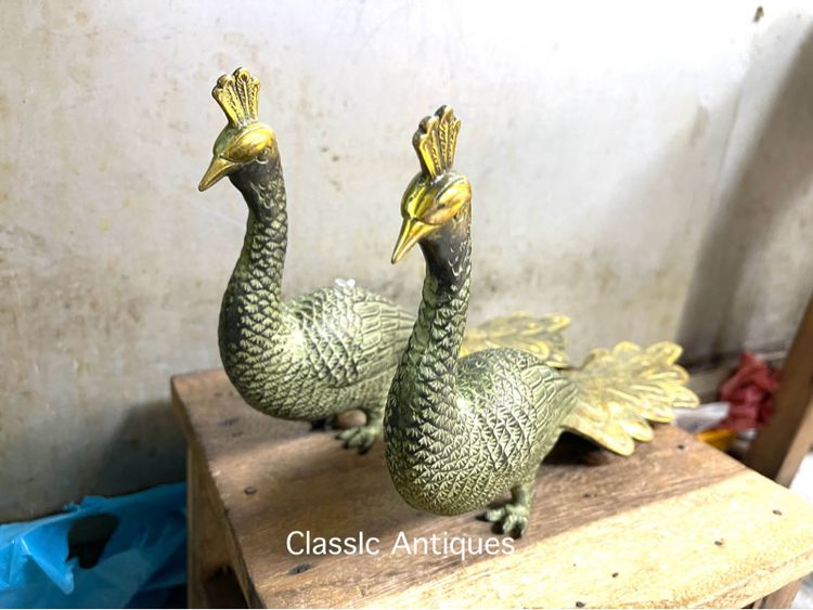 นกยูง ทองเหลืองA1 รูปที่ 2