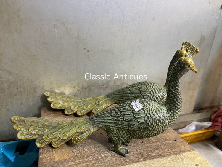 นกยูง ทองเหลืองA1 รูปที่ 6