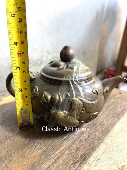 กาน้ำชา ค้างคาวทองเหลือง รูปที่ 7