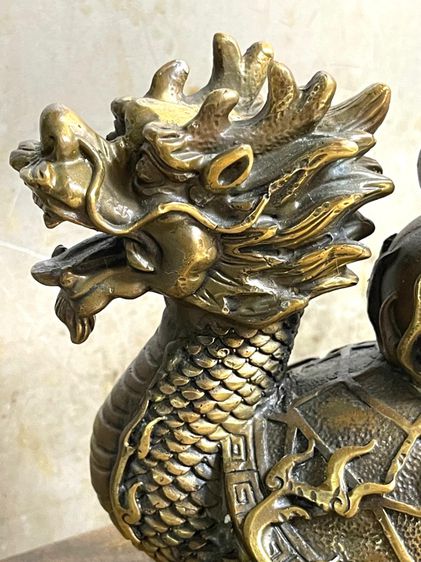 เต่ามังกรทองเหลือง A4 รูปที่ 3