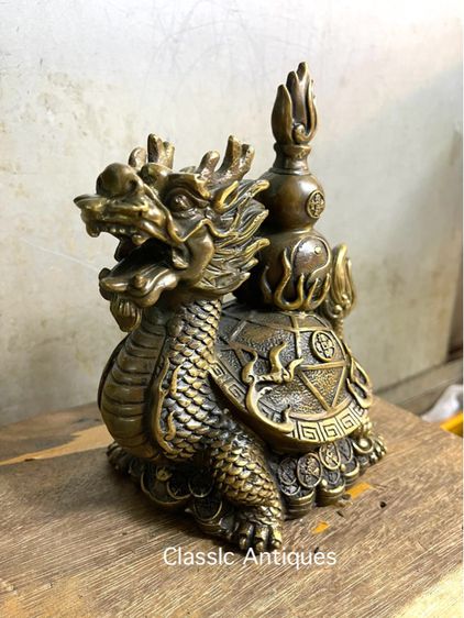 เต่ามังกรทองเหลือง A4 รูปที่ 2