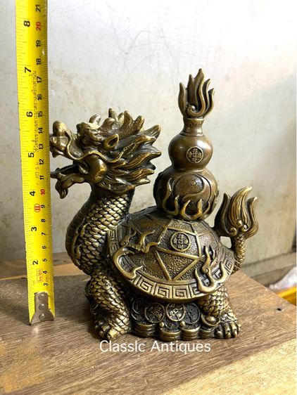 เต่ามังกรทองเหลือง A4 รูปที่ 8