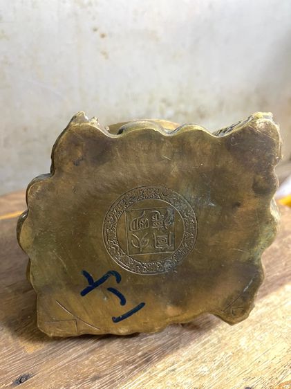 เต่ามังกรทองเหลือง A4 รูปที่ 7