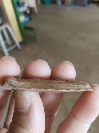 พระเนื้อดิน(พระปางลีลากำแพงทุ่งเศรษฐีเหรียญพระลีลากำแพงเขย่งไม่ทราบเกจิ(240201))พระบ้านพระเครื่องรางของมงคล รูปที่ 9