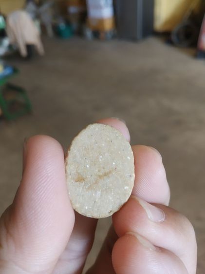 พระเนื้อผงน้ำมันรูปทรงไข่(พระเครื่องพิมพ์พระพุทธหลังเรียบไม่ทราบเกจิ)ถ้าบ้านพระเครื่องรางของมงคล รูปที่ 6