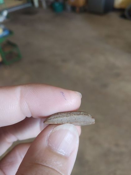 พระเนื้อดินผสมผงพิมพ์เล็ก(พระพิมพ์พระนางพญาหลังเรียบไม่ทราบเกจิที่สร้าง(240204))พระบ้านพระเครื่องรางของมงคล รูปที่ 17