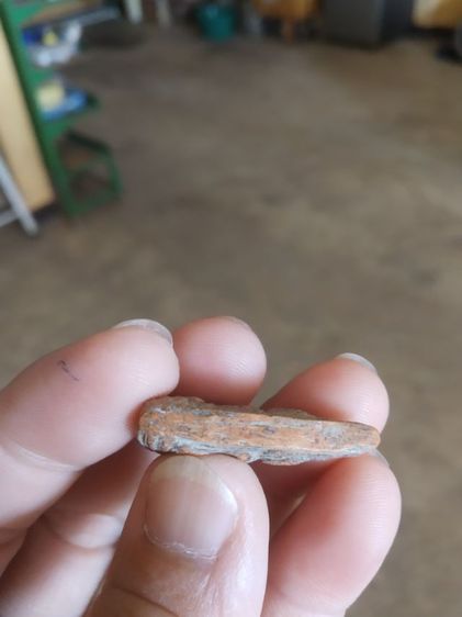 พระเนื้อดินพิมพ์เล็ก(พระพุทธชินราชพิมพ์สองหน้าไม่ทราบเกจิที่สร้าง(พิมพ์สองหน้า))พระบ้านพระเครื่องรางของมงคล รูปที่ 15