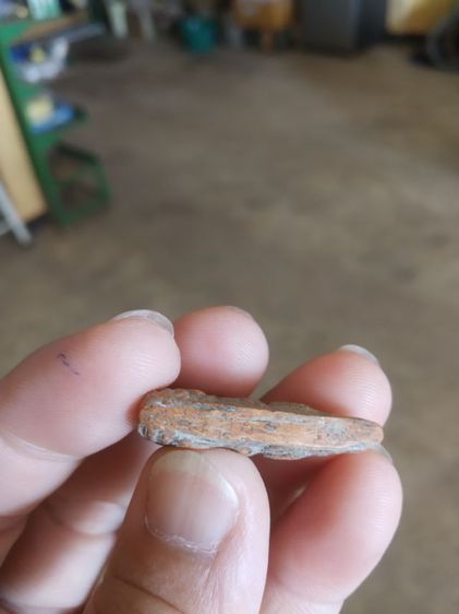 พระเนื้อดินพิมพ์เล็ก(พระพุทธชินราชพิมพ์สองหน้าไม่ทราบเกจิที่สร้าง(พิมพ์สองหน้า))พระบ้านพระเครื่องรางของมงคล รูปที่ 14