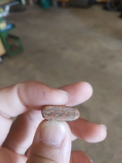 พระเนื้อดินพิมพ์เล็ก(พระพุทธชินราชพิมพ์สองหน้าไม่ทราบเกจิที่สร้าง(พิมพ์สองหน้า))พระบ้านพระเครื่องรางของมงคล รูปที่ 18