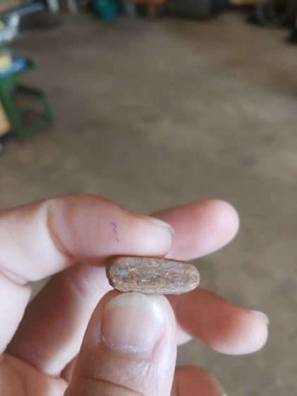 พระเนื้อดินพิมพ์เล็ก(พระพุทธชินราชพิมพ์สองหน้าไม่ทราบเกจิที่สร้าง(พิมพ์สองหน้า))พระบ้านพระเครื่องรางของมงคล รูปที่ 16