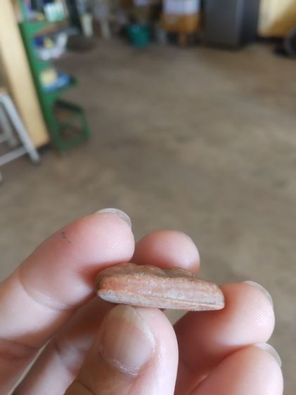 พระเนื้อดินพิมพ์เล็ก(พระพุทธชินราชหลังยันต์ไม่ทราบเกจิที่สร้าง(240205))พระบ้านพระเครื่องรางของมงคล รูปที่ 13