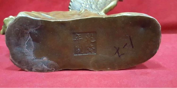 นกอินทรี ทองเหลือง รูปที่ 4