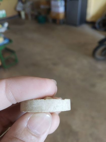 พระเนื้อผงผสมว่านรูปทรงกลม(พระพิฆเนศหลังยันต์พระมงกุฎพระพุทธเจ้าพระหลวงพ่อทองกลึง(สุนทโร)วัดเจดีย์หอย(ปทุมธานี))พระบ้านพระเครื่องรางของมงคล รูปที่ 14