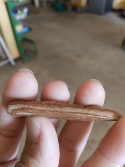 พระเนื้อดิน(พระปางเปิดโลกหลังเรียบไม่ทราบเกจิที่สร้าง)พระบ้านพระเครื่องรางของมงคลเครื่องรางของมงคล รูปที่ 14