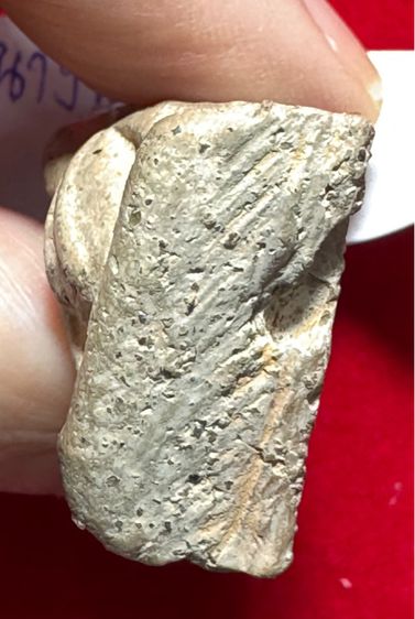 พระนางพญา พิมพ์ อกนูนใหญ่ สีดอกจำปา กรุวัดนางพญา จังหวัดพิษณุโลก รูปที่ 12