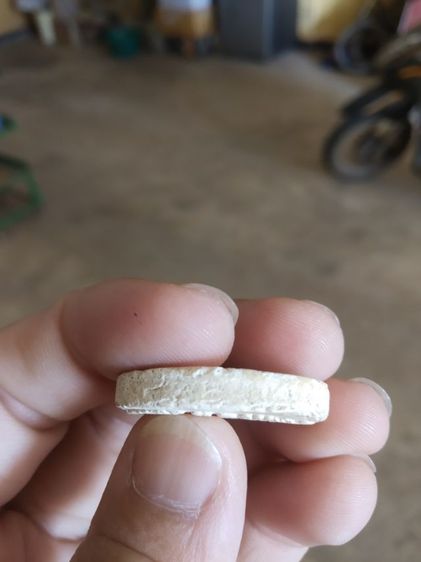 พระเนื้อผงผสมว่าน(พระรูปเหมือนพระหลวงพ่อโอภาสี(วัดหลวงพ่อโอภาสีหรืออาศรมบางมด)(จังหวัดกรุงเทพมหานครปี2550))พระบ้านพระเครื่องรางของมงคล รูปที่ 12