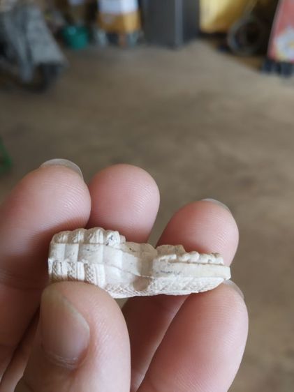 พระเนื้อผงผสมว่าน(พระปางนาคปรกหลวงรัชกาลที่ห้าพระหลวงพ่อศิลาวัดทุ่งเสลี่ยม(สุโขทัย170205))พระบ้านพระเครื่องรางของมงคล รูปที่ 10