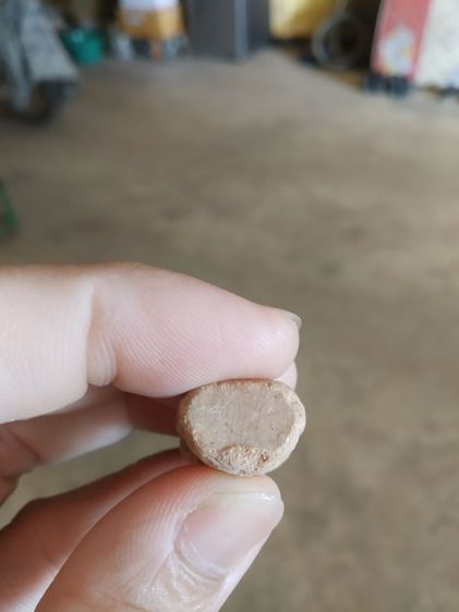 พระเนื้อผงผสมว่าน(พระปางนาคปรกหลังรัชกาลที่ห้าพระหลวงพ่อศิลาวัดทุ่งเสลี่ยม(สุโขทัย170204))พระบ้านพระเครื่องรางของมงคล รูปที่ 18