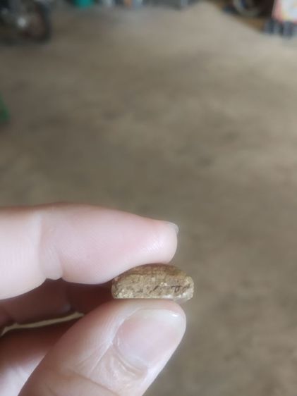 พระเนื้อผงผสมว่านพิมพ์เล็ก(พระพิมพ์พระนางกวักหลังเรียบเนื้อสีน้ำตาลเข้ม(ไม่ทราบเกจิที่สร้าง)(270207))พระบ้านพระเครื่องรางของมงคล รูปที่ 12