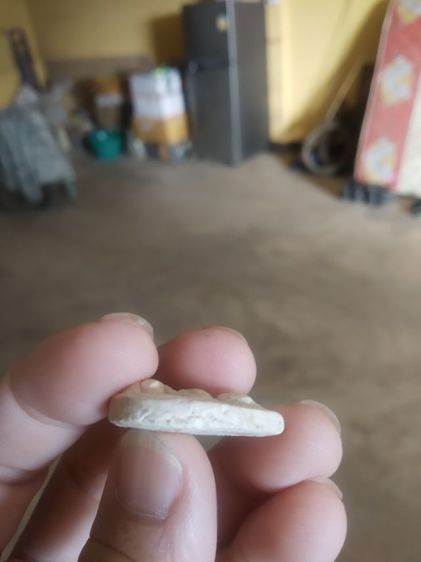 พระผงผสมว่านพิมพ์หยดน้ำ(พระสมเด็จกลีบบัววัดศรีบุญเรือง(จังหวัดเชียงใหม่ปี2521))พระบ้านพระเครื่องรางของมงคล รูปที่ 10