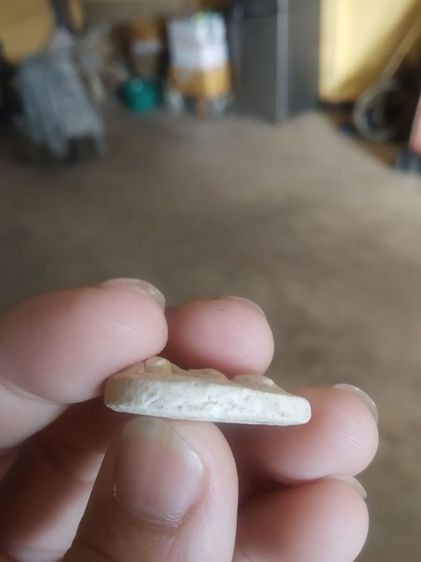 พระผงผสมว่านพิมพ์หยดน้ำ(พระสมเด็จกลีบบัววัดศรีบุญเรือง(จังหวัดเชียงใหม่ปี2521))พระบ้านพระเครื่องรางของมงคล รูปที่ 13