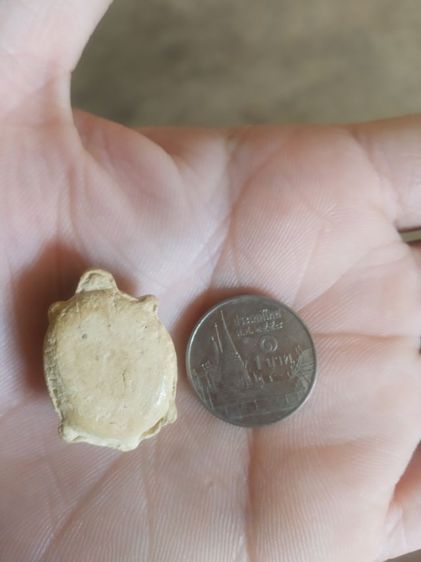 พระเนื้อผงผสมว่านพิมพ์เล็ก(พระรูปเหมือนพระพญาเต่าเรือน(ไม่ทราบเกจิที่สร้าง)(ไม่ทราบอายุและรุ่น)(มงคลเมตตาค้าขาย))พระบ้านพระเครื่องรางของมงคล รูปที่ 11